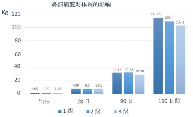 图 1.出生时、28 日龄、90 日龄和 190 日龄时鼻部病变对体重的影响