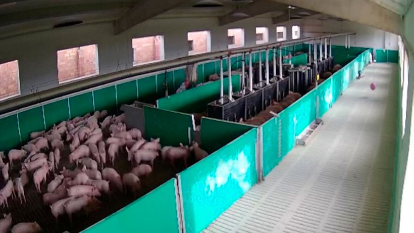 Figure 4: Finishing barn with the load preparation area set up.