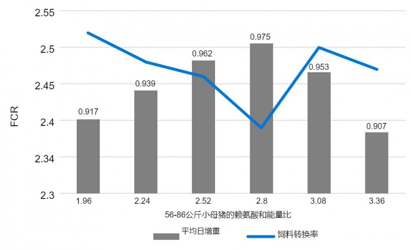 图1:56-86公斤母猪的赖氨酸:能量比的影响。Main等人,2002年。